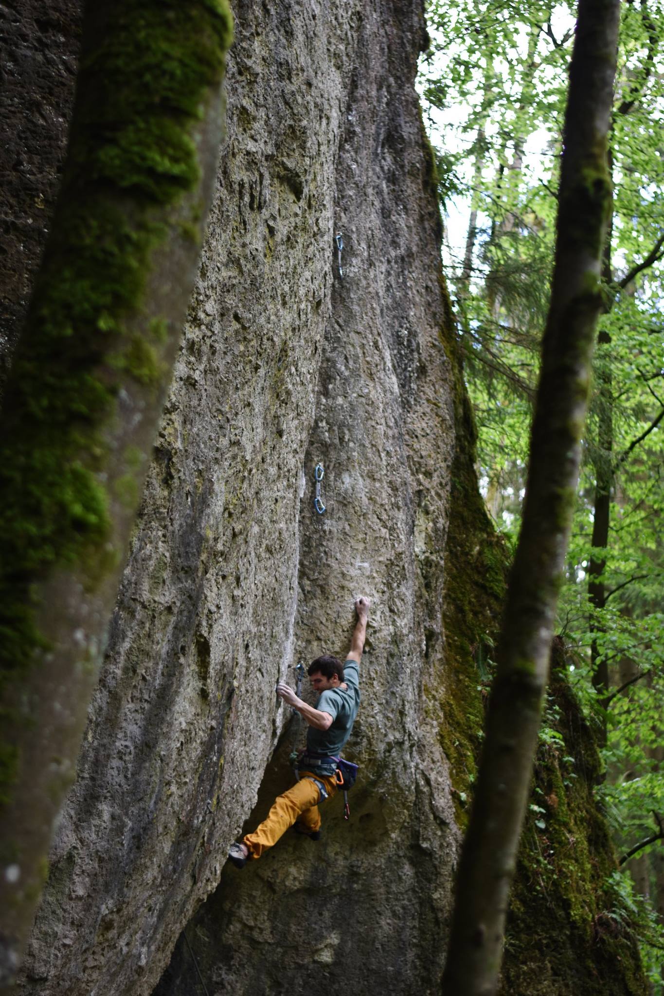 Ollie Torr Sport Climbing