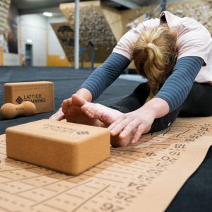 Jen Wood sit and reach on the flex mat with a flex block